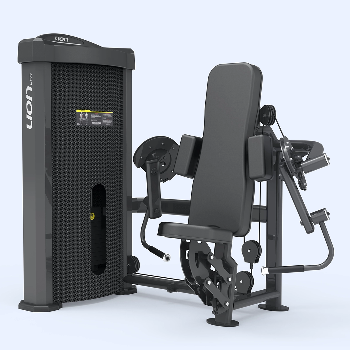 Bíceps Unilateral LFR